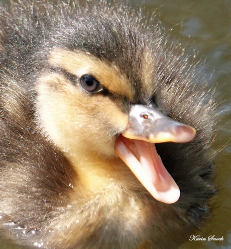 "Don't worry be happy..."