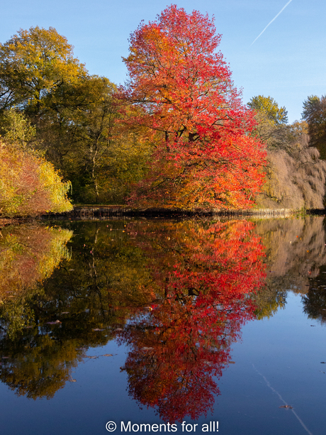 Herfst