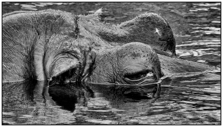 I'm keeping an eye on you