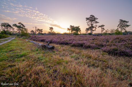 Mooie zonsopkomst