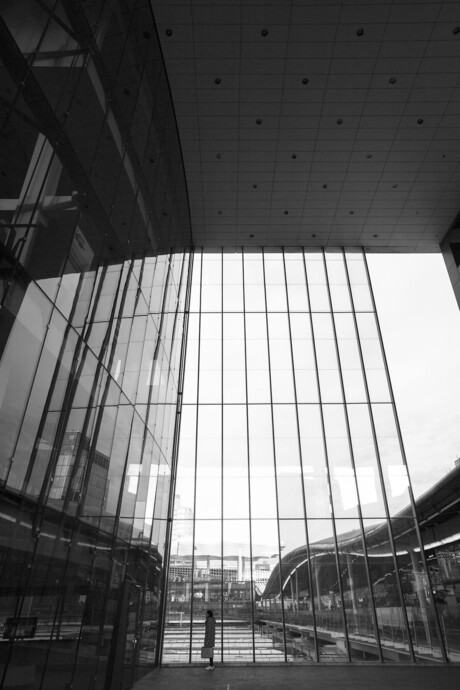 Vrouw in Utrecht Centraal