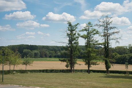 Landschap