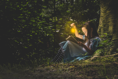 lezen in het bos