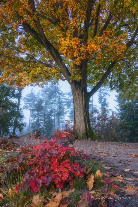 Autumn Delight!