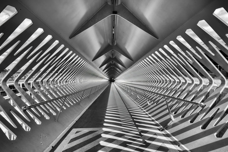 Cruise Terminal Antwerpen