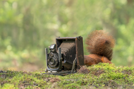 Cameramonteur (2)