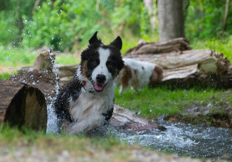 Kos heeft waterpret