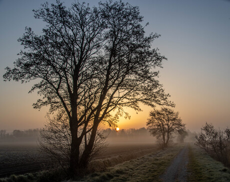 Mist en zon.