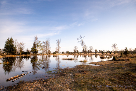 Nationaal Park Drents- Friese Wold