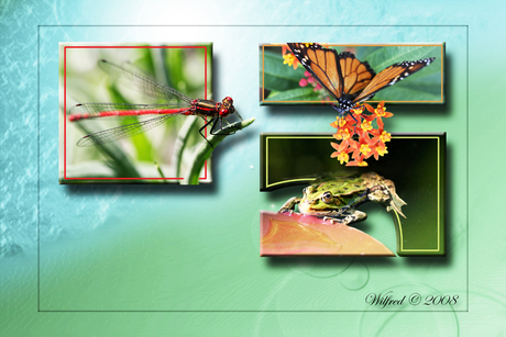 Natuur collage 2