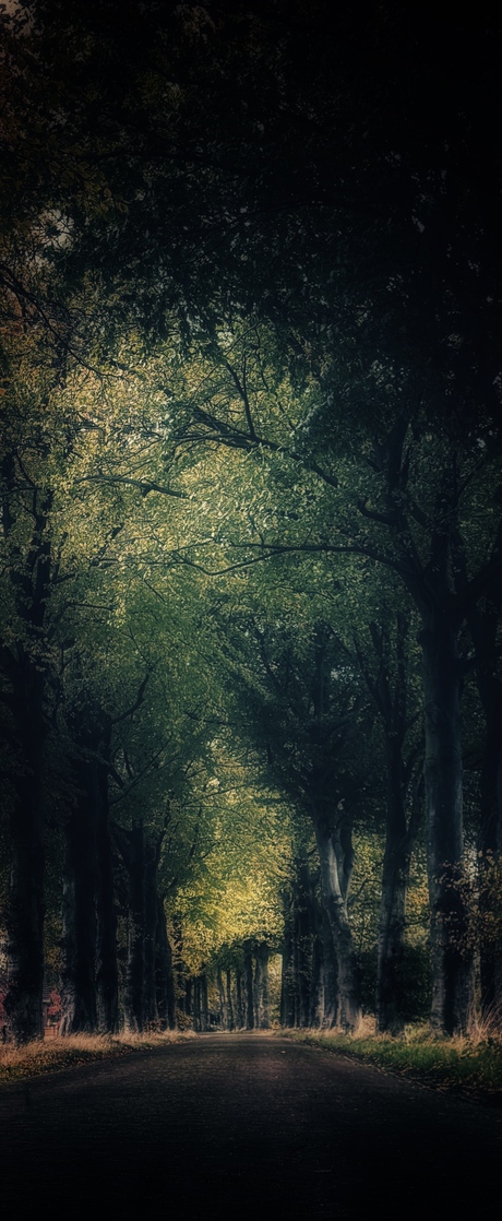 Wandeling marienheem