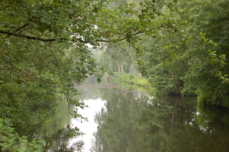 weerspiegeling