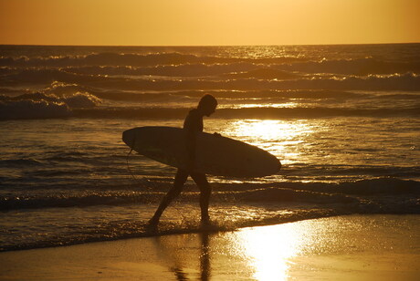 Surfing by sunset