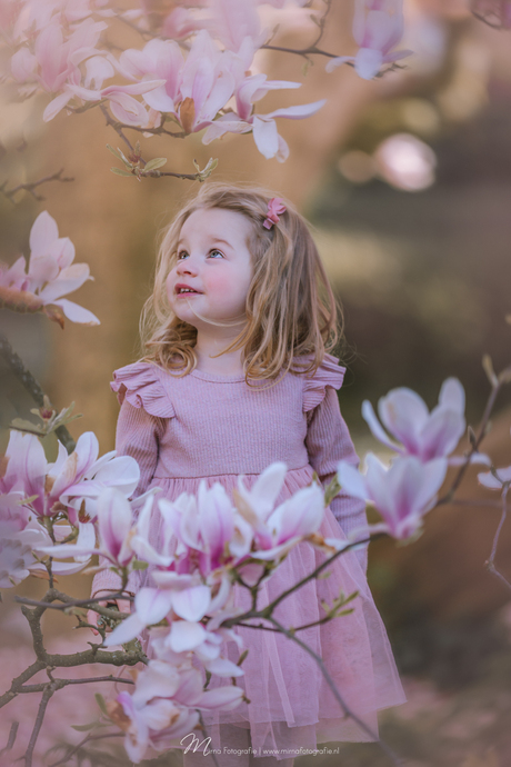 Norah bij de Magnolia