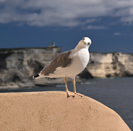 Hallo, kennen we elkaar?