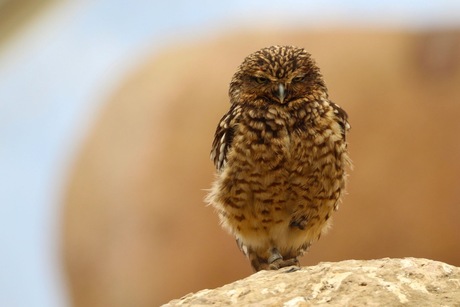 1929DAAD-5A66-4E39-B975-8A5E35E324F0