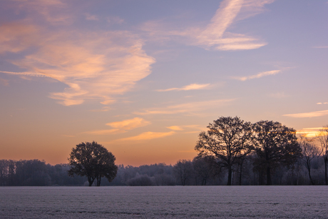 koude morgen