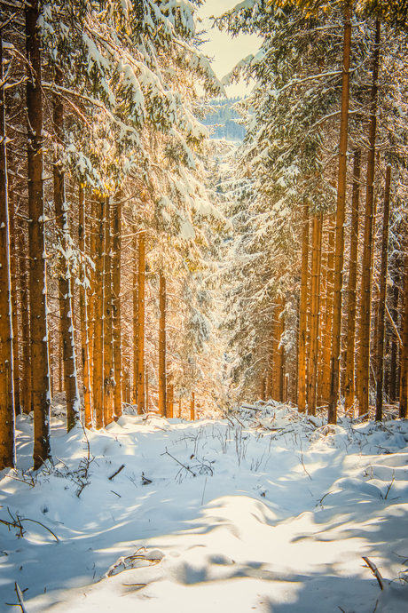 Kahler Asten in de sneeuw