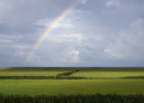 Regenboog boven Texel