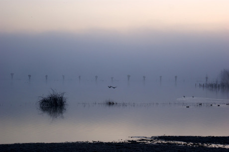 IJssel bij Dieren