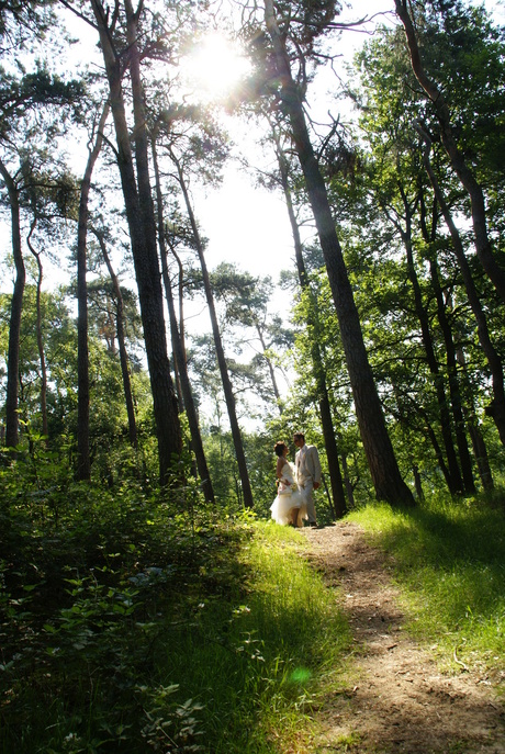 The Wedding Forest