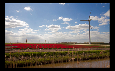 Een polderlandschap...