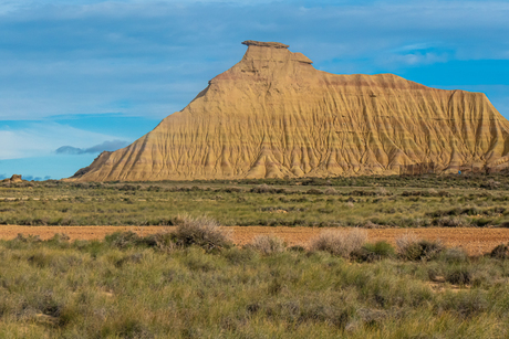 Bardenas reales