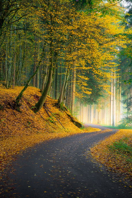 Popping autumn 