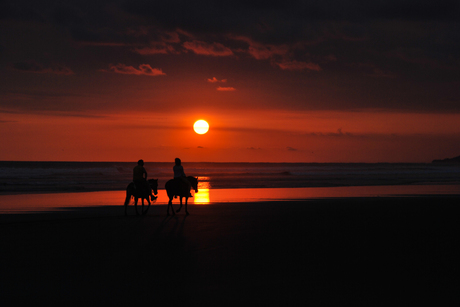 Lonesome cowboys