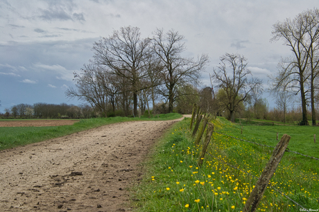 Naar de Hompesche molen