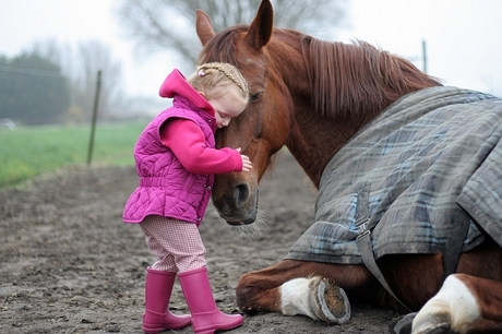 Liefde is....