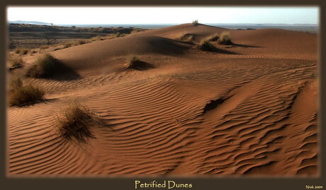 Petrified Dunes