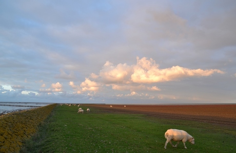 Verlichte wolken