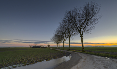 Polder in beeld