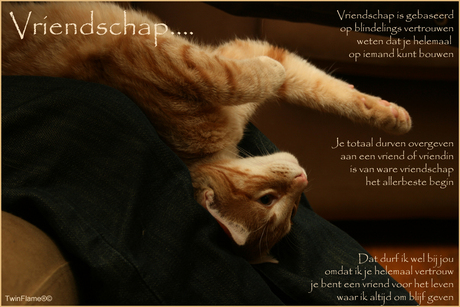 Vriendschaps e-card