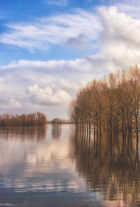 Met de voeten in het water