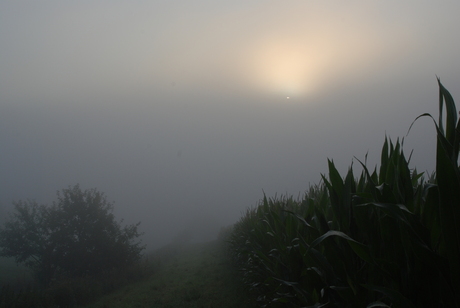 Mist(iek) Sauerland