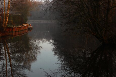 Automne au petit matin.