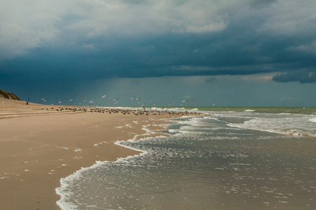strand zeeland 2