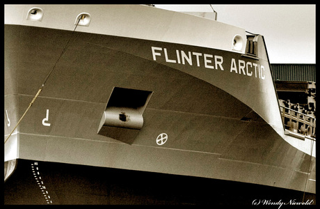 Flinter Arctic