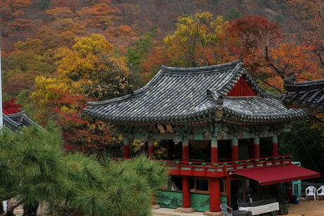 Beomeosa temple