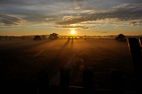 Landschap