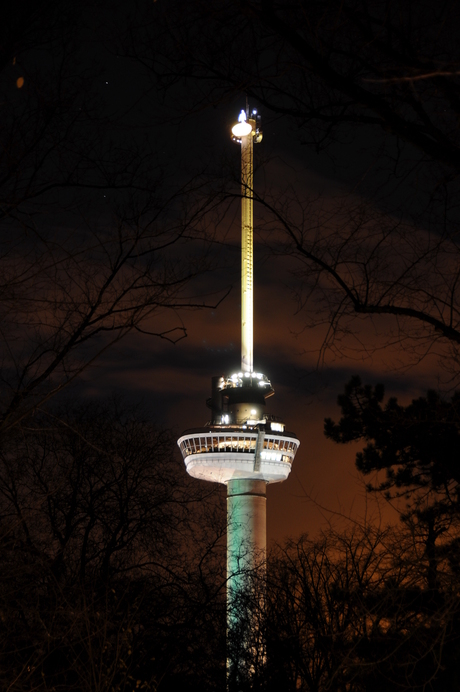 Euromast