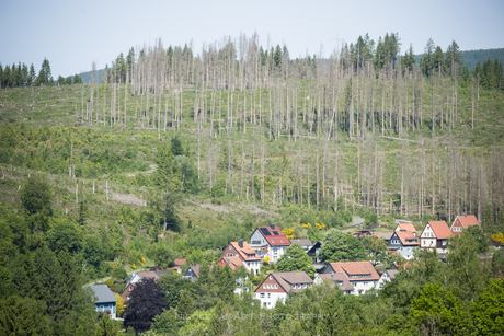 Oberharz Altenau