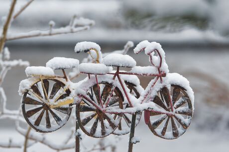 Sneeuwfietsjes
