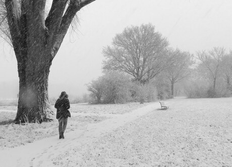 sneeuw landschap