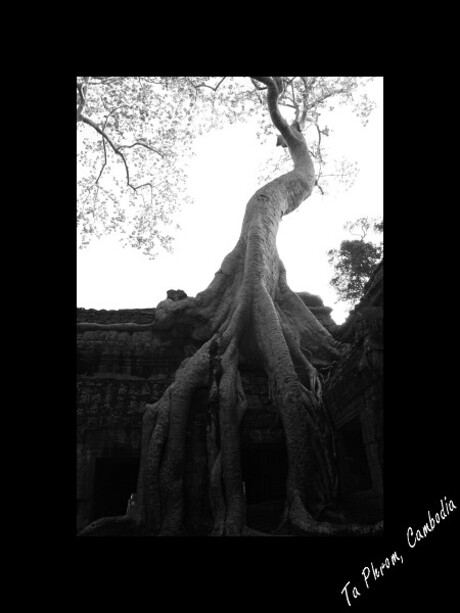 Ta phrom,Cambodja