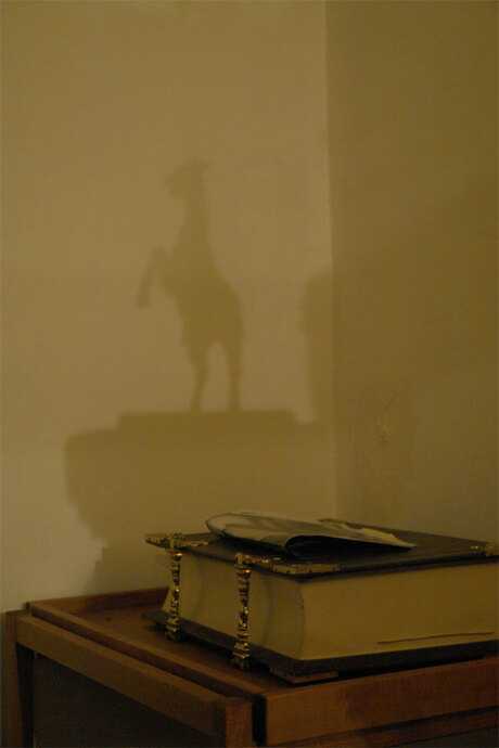 Magic shadow of a horse