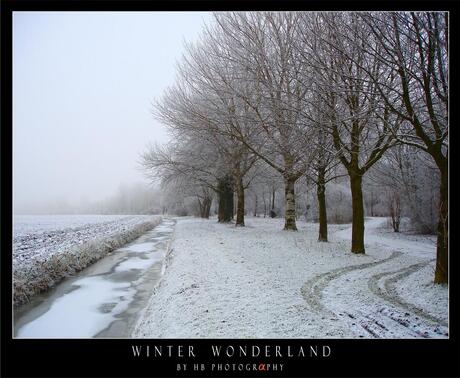 HB Winter Wonderland