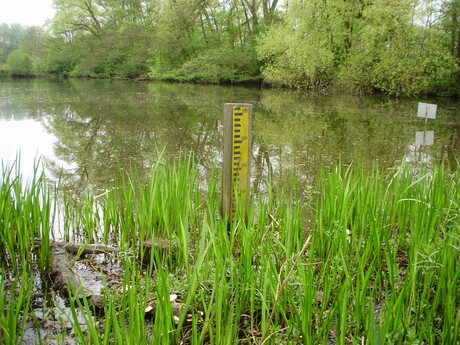 "De Heinis" Natuurgebied in 's-Hertogenbosch